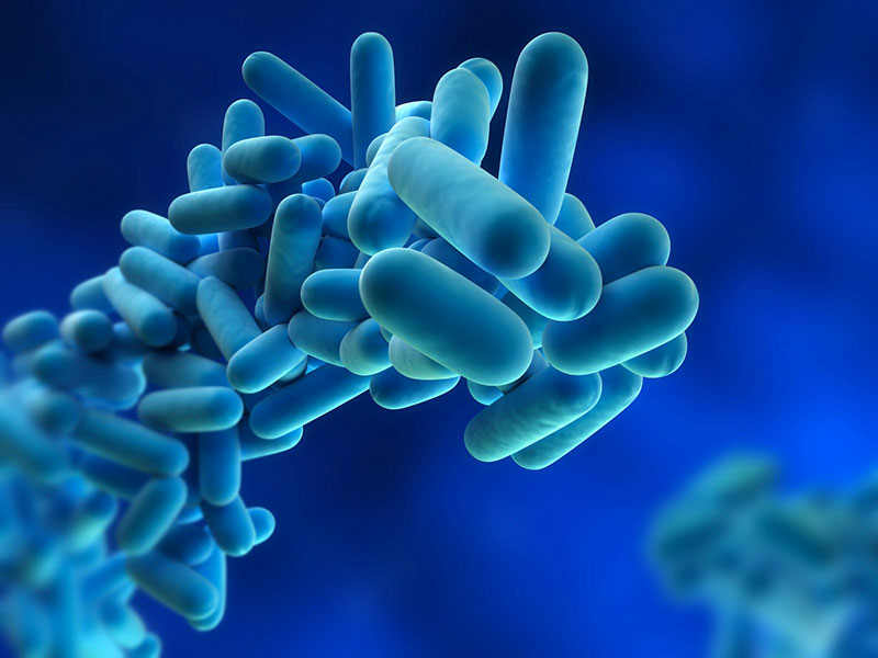 legionella