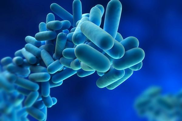 legionella